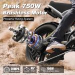 Varun 750W Adult Electric Mountain Bike 20" Fat Tire