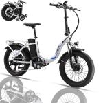 Paselec 20" Folding Fat Tire Electric Bike