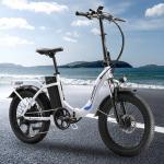 Paselec 20" Folding Fat Tire Electric Bike