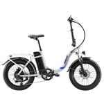 Paselec 20" Folding Fat Tire Electric Bike