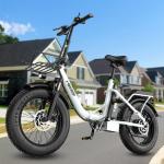 500W 48V Folding Fat Tire Electric Bike