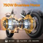 500W 48V Folding Fat Tire Electric Bike