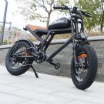 1500W 52V Off-Road 20" Electric Mountain Bike