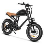 1500W 52V Off-Road 20" Electric Mountain Bike