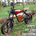 Hidoes Adult 20" Electric Fat Tire Cruiser Bike