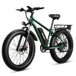 1000W 48V Electric Mountain Bike with Fat Tires