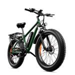 1000W 48V Electric Mountain Bike with Fat Tires