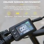 Hidoes 20" Fat Tire Electric Mountain Bike