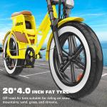 Hidoes 20" Fat Tire Electric Mountain Bike
