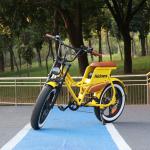 Hidoes 20" Fat Tire Electric Mountain Bike