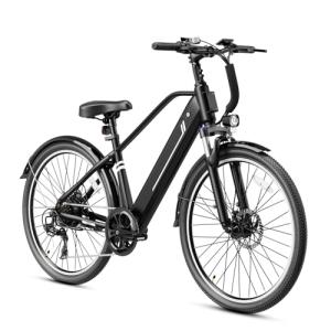 Jasion YC1 ST Electric Bike with 750W Motor