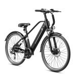 Jasion YC1 ST Electric Bike with 750W Motor