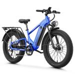 1800W All-Terrain Fat Tire Electric Bike 36MPH