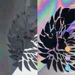 Rainbow Reflective Heat Transfer Vinyl Roll 12"x5