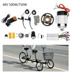 48V 500W Electric Trike with Brushless Motor