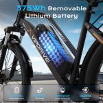 26" 750W City Commuter E-Bike with Removable Battery