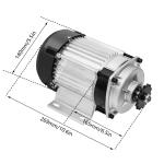 48V 500W Electric Trike with Brushless Motor