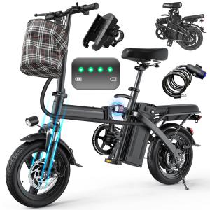 Foldable Electric Bike with 48V Battery