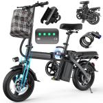 Foldable Electric Bike with 48V Battery