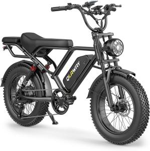 750W Electric Fat Tire E-Bike for Adults