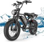 750W Electric Fat Tire E-Bike for Adults