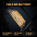 750W Electric Fat Tire E-Bike for Adults
