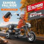 eAhora 2000W M1P Electric Trike for Adults