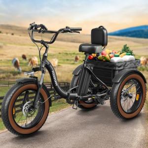 Adult Electric Tricycle with Fat Tires and Baskets