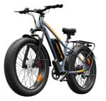 1000W Electric Fat Tire Bike for Adults