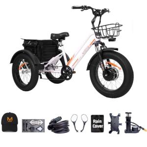 DWMEIGI 3-Wheel Electric Bike with 750W Motor