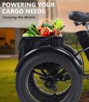 500W Electric Tricycle for Adults with Basket