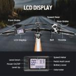 Vivi 500W Folding Electric Bike with Removable Battery