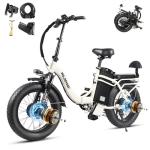 Wildeway 2000W Dual Motor Foldable E-Bike