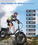 Wildeway 2000W Dual Motor Foldable E-Bike