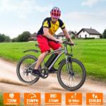 26" Electric Mountain Bike with Removable Battery