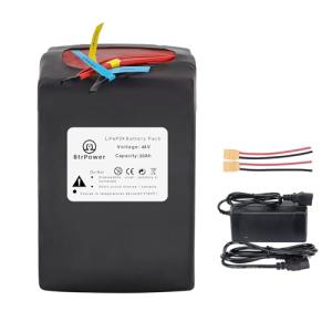 48V 20AH LiFePO4 Ebike Battery Pack with Charger