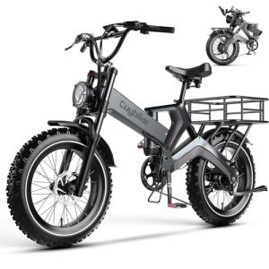 2000W Foldable Electric Bike with Fat Tires