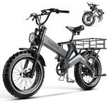 2000W Foldable Electric Bike with Fat Tires