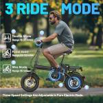 14" Folding Electric Bike for Commuters and Teens