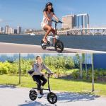 isinwheel U1 Folding Electric Bike, 750W Motor