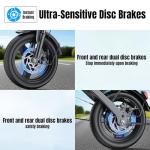 Compact Electric Bike for Adults and Teens