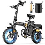 DTTZH 1000W Folding Electric Bike for Adults