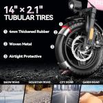 DDC SPORT Folding Electric Bike 750W Motor