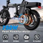 INSDRGN 500W Folding Electric Bike for Adults