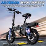 INSDRGN 500W Folding Electric Bike for Adults