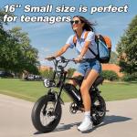 AVDLBIKE 16'' Electric Fat Tire E-Bike