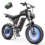 GugoIs Adult Electric Bike with 1000W Motor