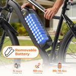 750W Electric Bike, 60 Mile Range, 20MPH