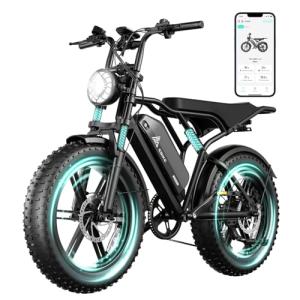 TST 1500W 20" Fat Tire All-Terrain E-Bike