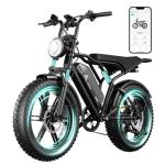 TST 1500W 20" Fat Tire All-Terrain E-Bike